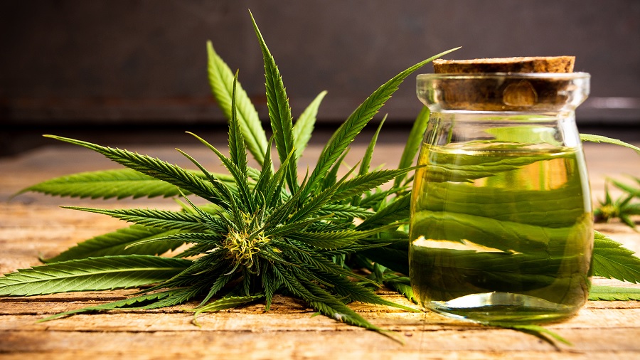 Benefits of Using Cannabis Oil